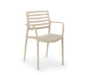 Contemporary Plastic Chair