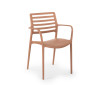 Contemporary Plastic Chair